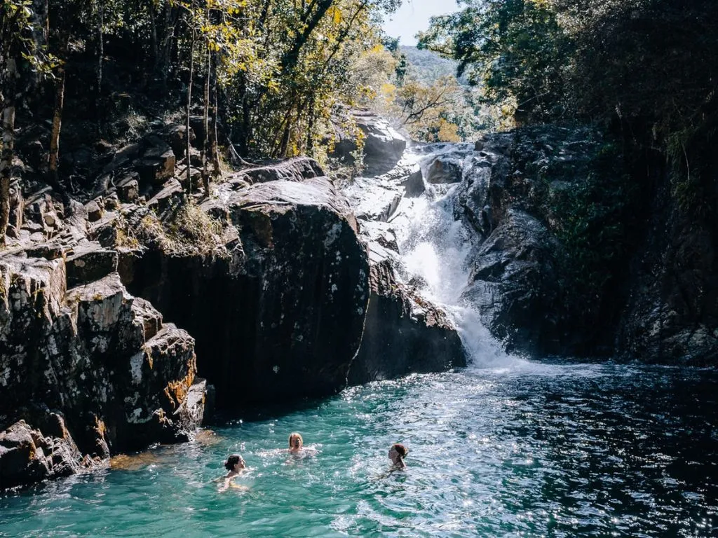 Finch Hatton Gorge Guided Hiking Tour from Mackay | Experience Oz-7