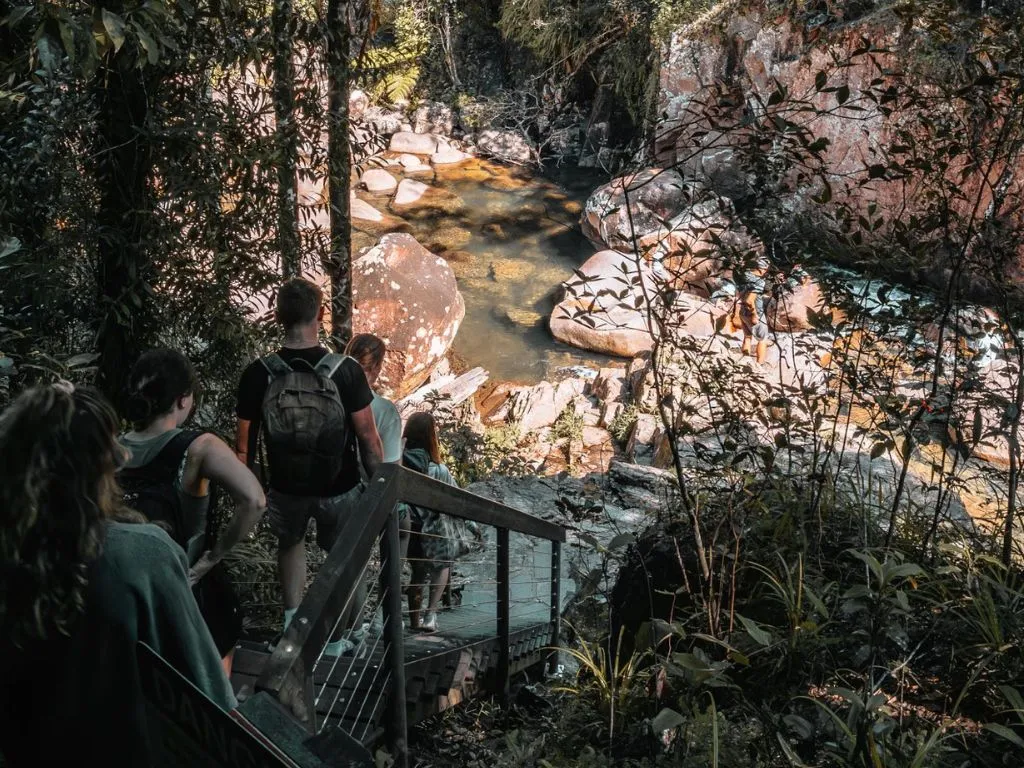 Finch Hatton Gorge Guided Hiking Tour from Mackay | Experience Oz-9