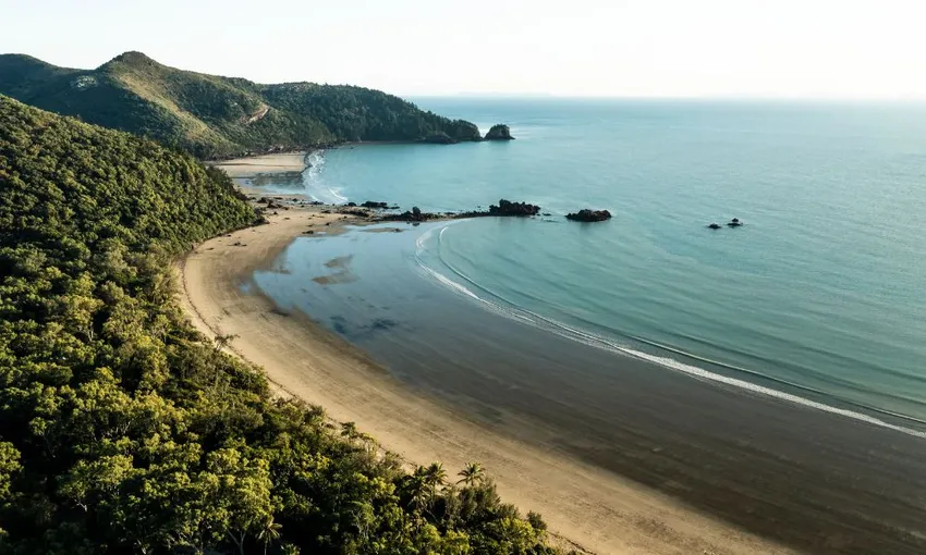 Cape Hillsborough Beach Sunrise with the Wallabies | Experience Oz