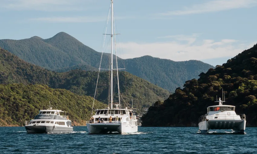 Marlborough Seafood Cruise - Book Now | Experience Oz