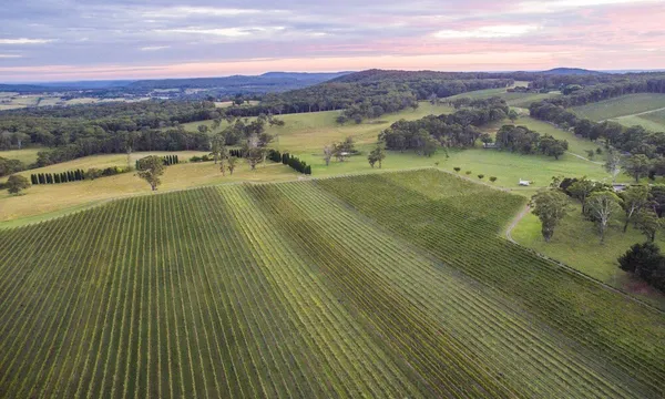 Southern Highlands Scenic Joy Flight - 90 Minutes