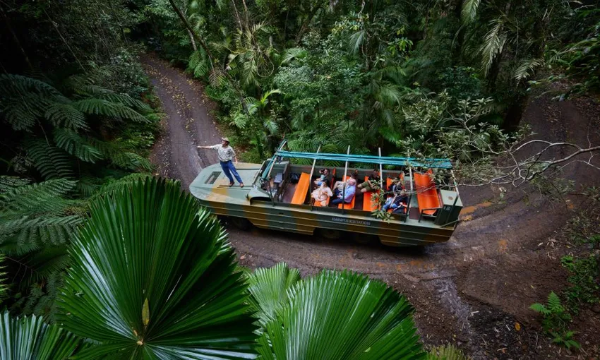 Grand Kuranda Rainforest Full Day Tour From Cairns | Experience Oz