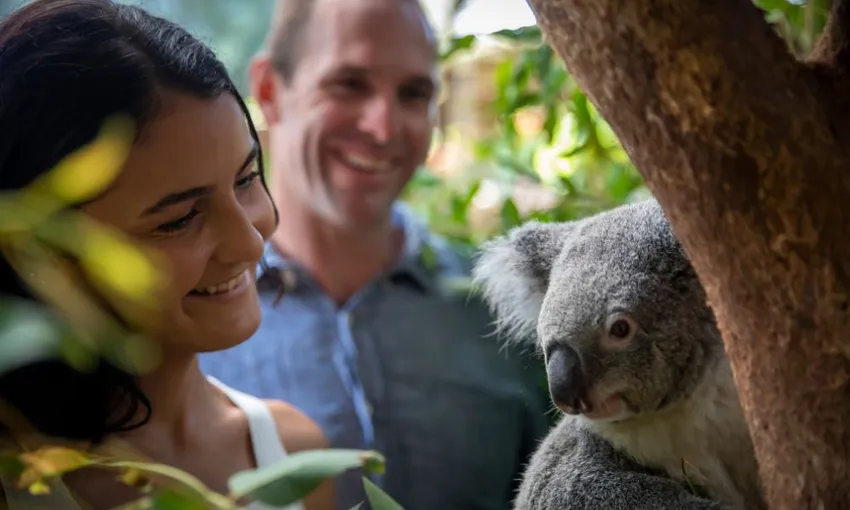 Grand Kuranda Rainforest Full Day Tour From Cairns | Experience Oz
