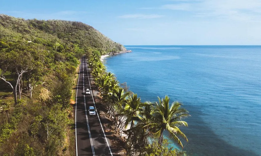 Cape Tribulation, Daintree Rainforest and Wildlife Tour | Experience Oz