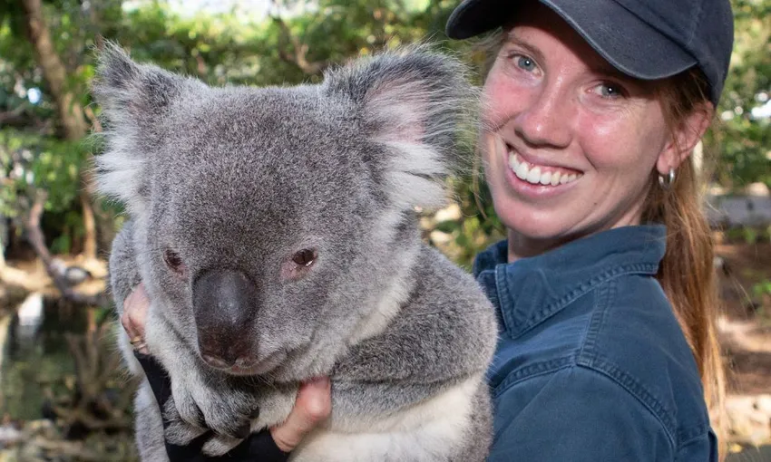 Cape Tribulation, Daintree Rainforest and Wildlife Tour | Experience Oz