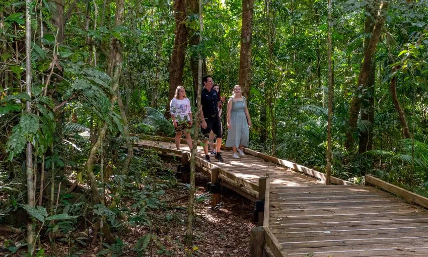 Cape Tribulation, Daintree Rainforest and Wildlife Tour | Experience Oz