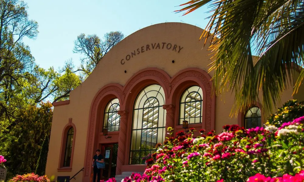 Melbourne City Discovery Tour - Book Now | Experience Oz-13