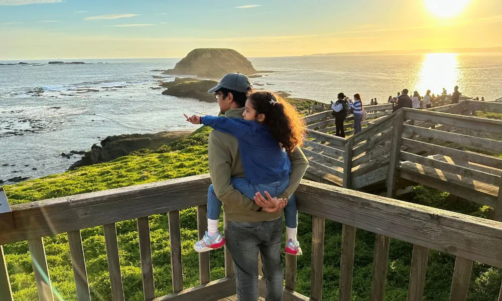 Phillip Island Express Tour From Melbourne  | Experience Oz Local Agent-9