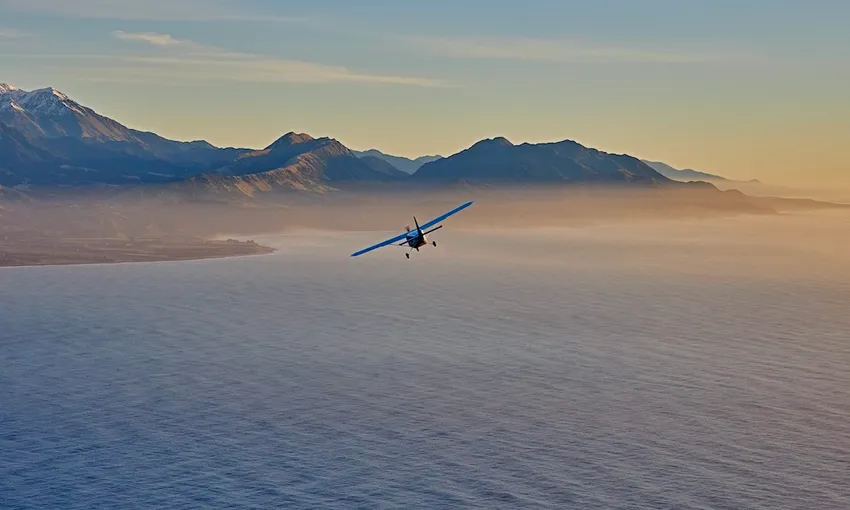 30 Minute Kaikoura Whale Watch Seaplane Flight