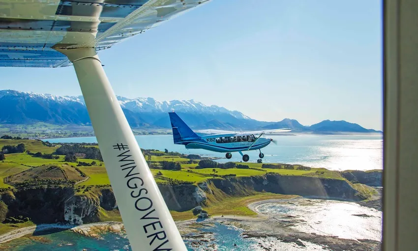 30 Minute Kaikoura Whale Watch Seaplane Flight