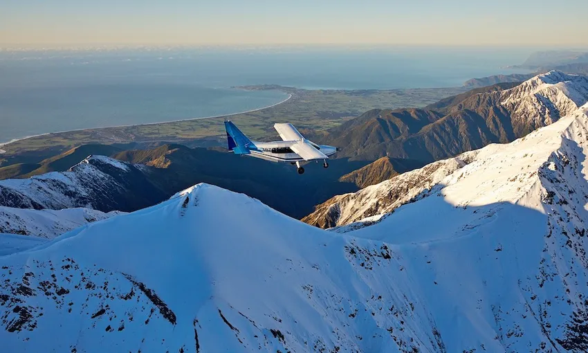 30 Minute Kaikoura Whale Watch Seaplane Flight