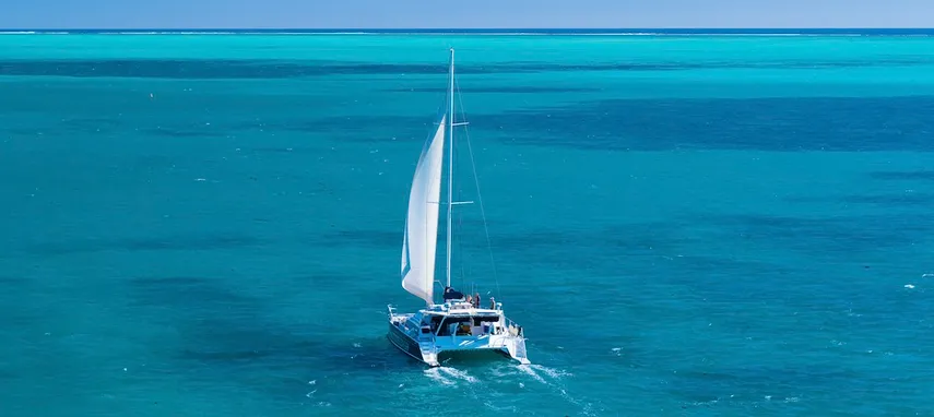 Ningaloo Humpback Whale Swim on a Powerboat
