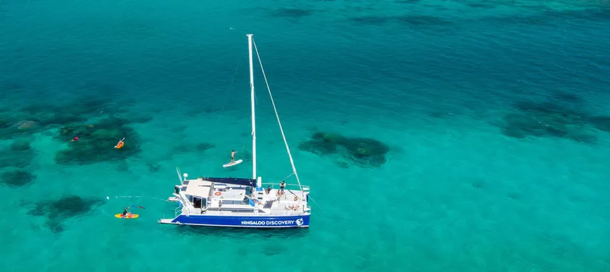 Ningaloo Humpback Whale Swim on a Powerboat