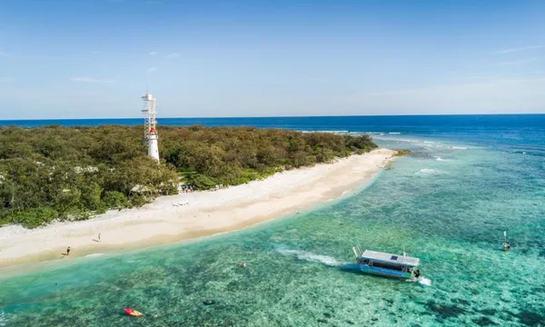 Lady Elliot Island Day Tour from the Gold Coast