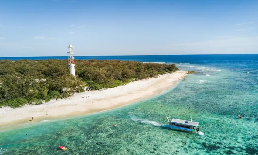 Lady Elliot Island Day Tour from the Gold Coast