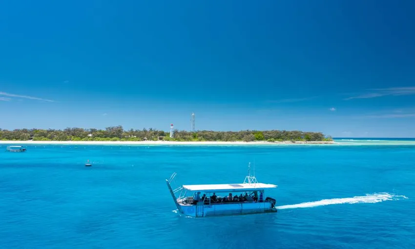 Lady Elliot Island Day Tour from the Gold Coast