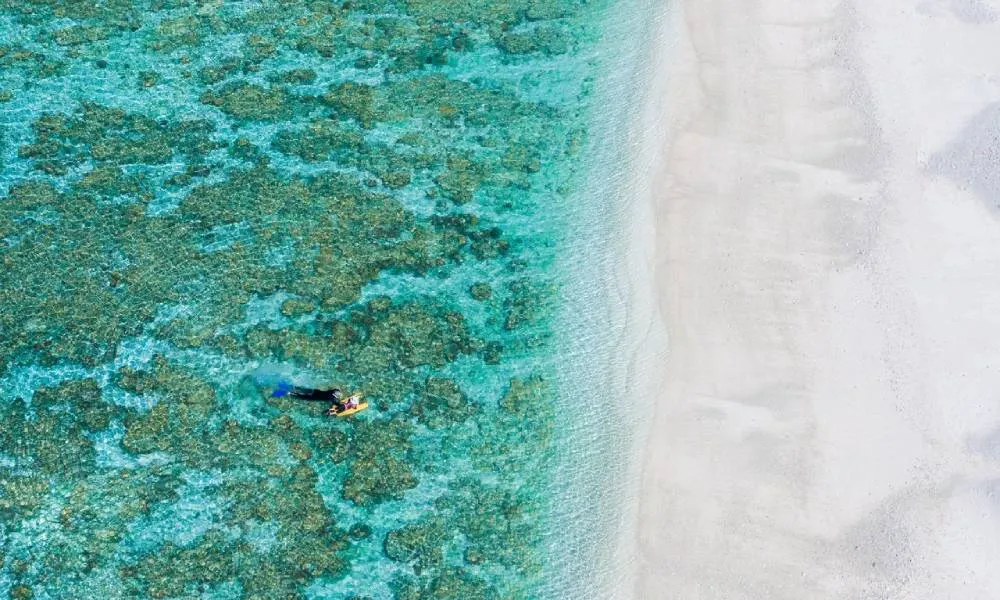 Great Barrier Reef Day Tour from Brisbane - Book Now | Experience Oz-2