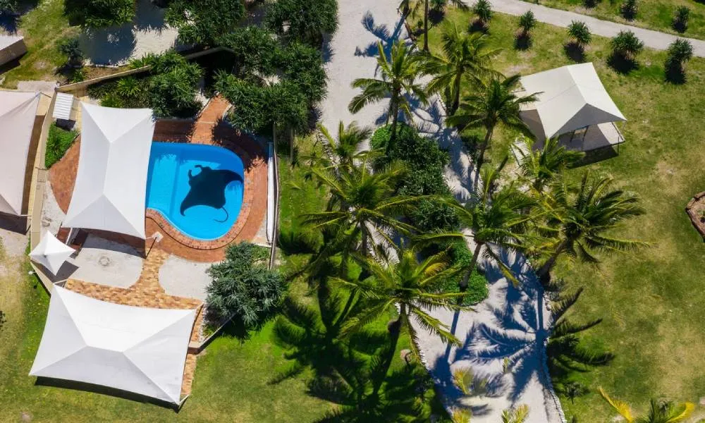 Great Barrier Reef Day Tour from Brisbane - Book Now | Experience Oz-4