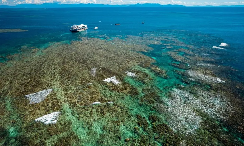 Great Barrier Reef Cruise to Reef Magic Pontoon | Experience Oz