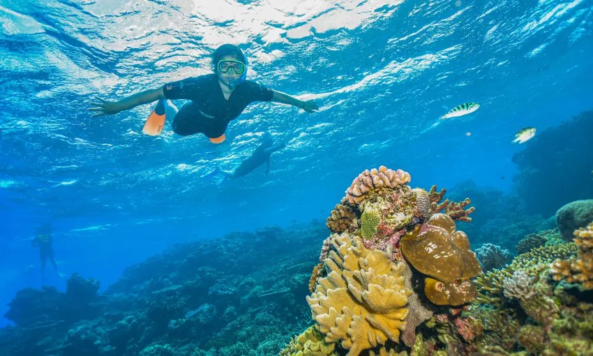 Great Barrier Reef Cruise to Reef Magic Pontoon | Experience Oz
