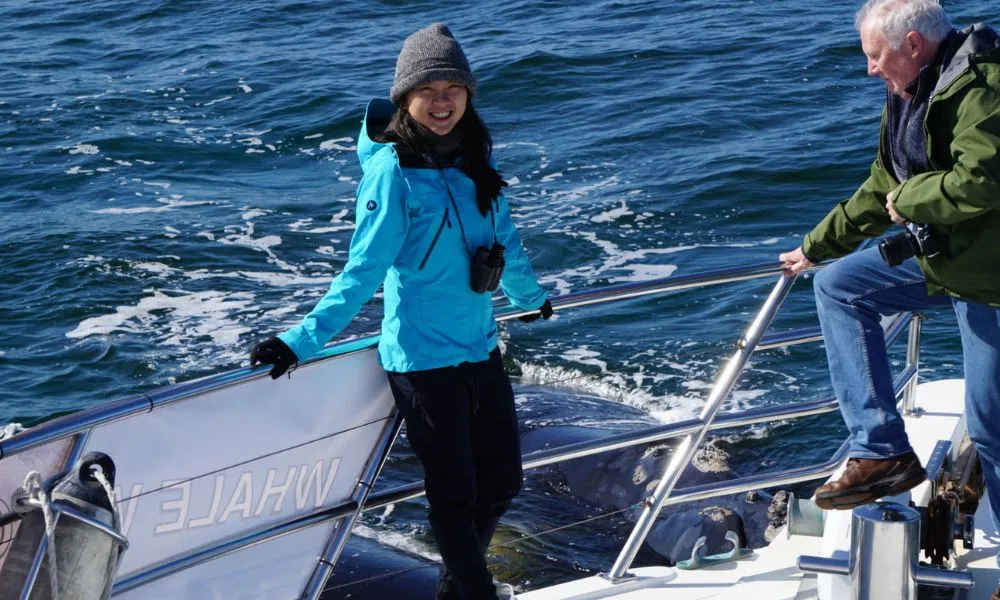 Augusta Margaret River Whale Watching -Book Now | Experience Oz-5