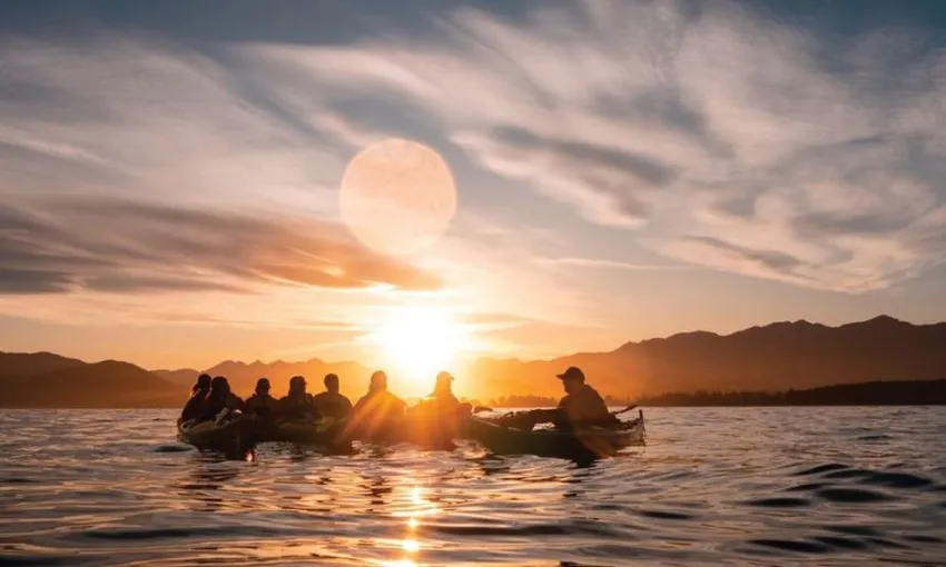 Wildlife Kayaking in Kaikoura Tour - Book Now | Experience Oz