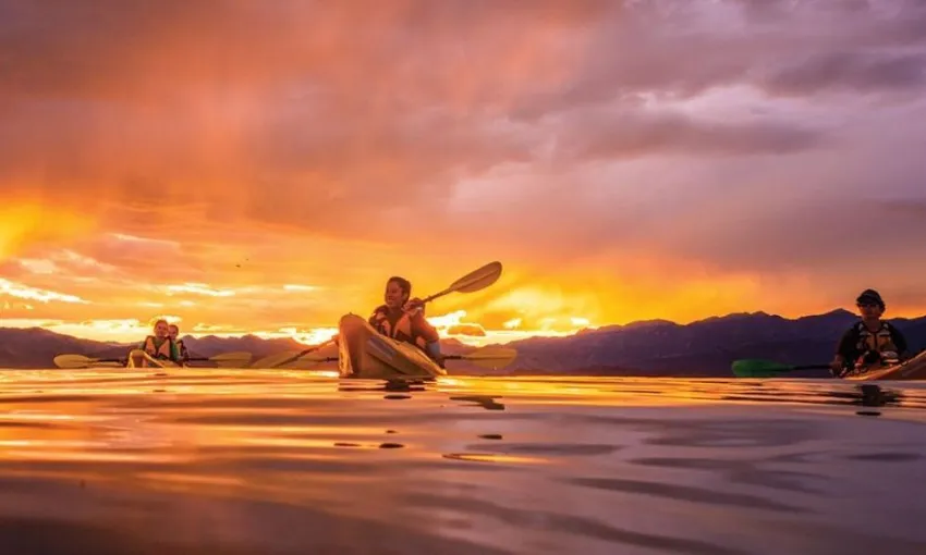 Wildlife Kayaking in Kaikoura Tour - Book Now | Experience Oz