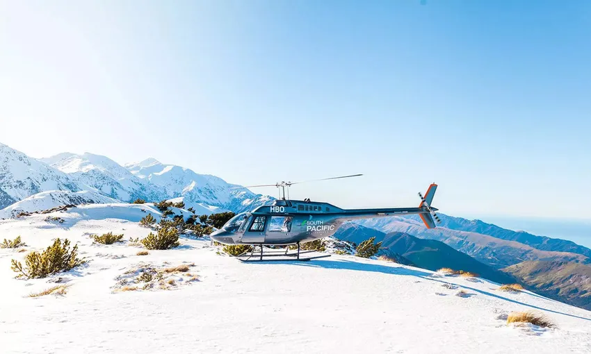 Kaikoura Premier Whale Watching Helicopter Flight | Experience Oz