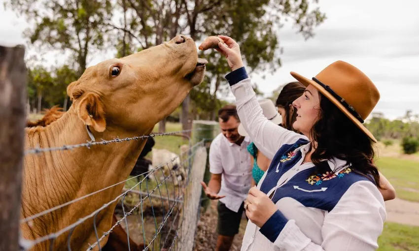 Splitters Farm Entry Pass - Book Now | Experience Oz