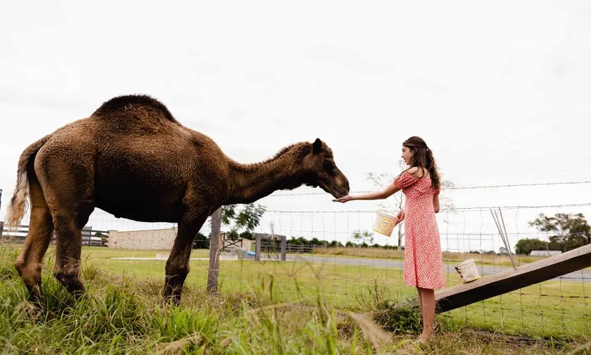 Splitters Farm Entry Pass - Book Now | Experience Oz