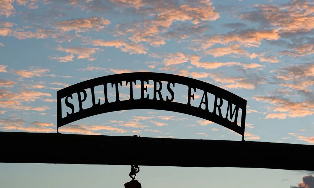Splitters Farm Guided Tour - Book Now | Experience Oz-1