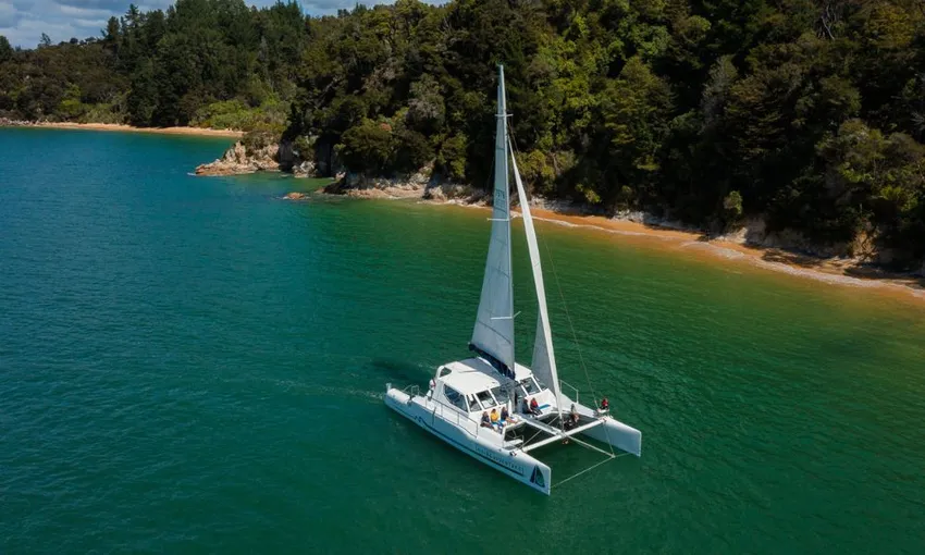 Abel Tasman Sail, Seals and Walk Day Tour | Experience Oz