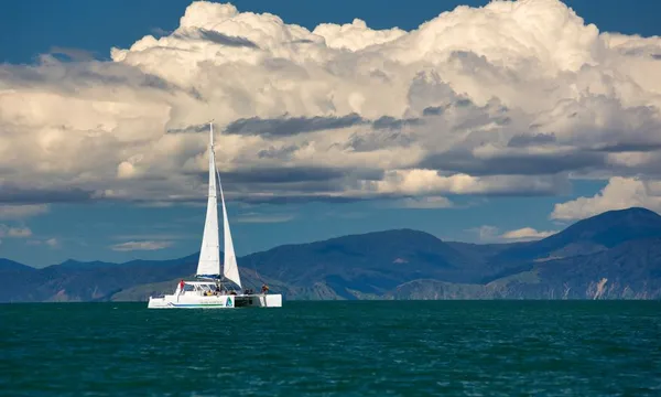 Abel Tasman Sail, Seals and Walk Day Tour
