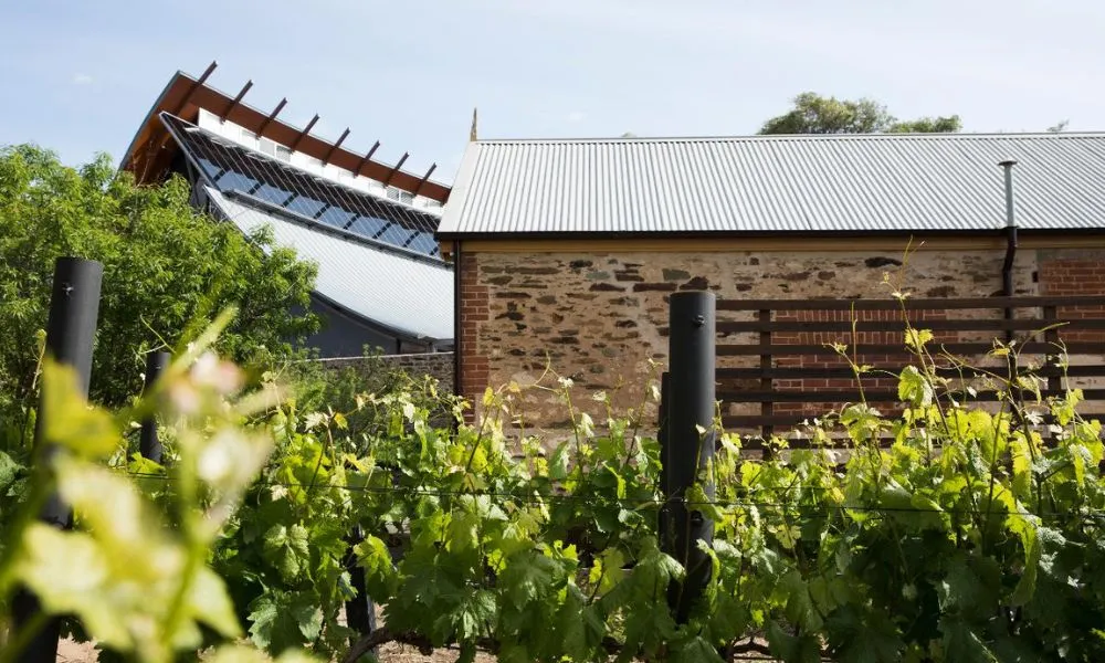 Taste of South Australia Guided Tour and Tasting - Book Now | Experience Oz-3