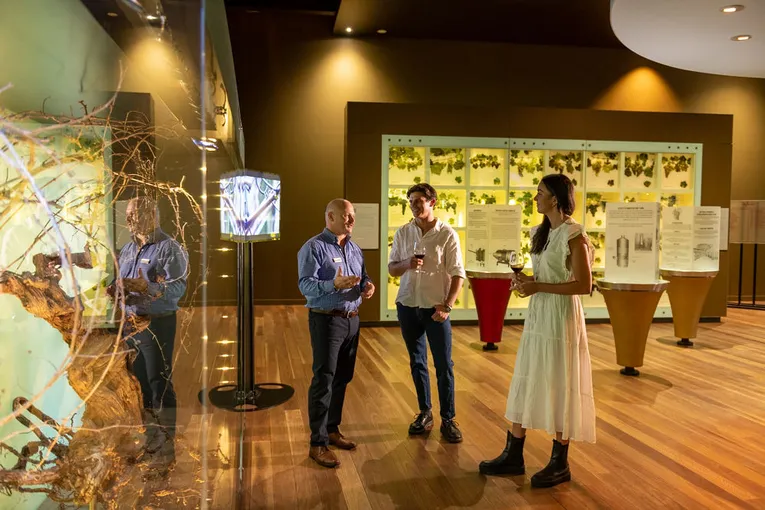 Taste of South Australia Guided Tour and Tasting - Book Now | Experience Oz