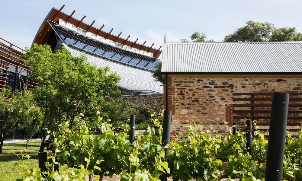 Discover Australian Wine Guided Tour - Book Now |  Experience Oz-3