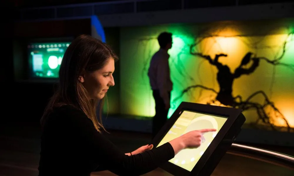 Discover Australian Wine Guided Tour - Book Now |  Experience Oz-4