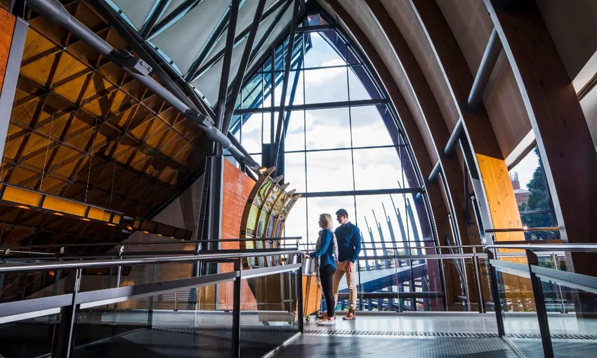 Discover Australian Wine Guided Tour - Book Now | Experience Oz