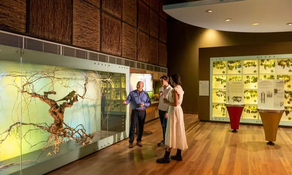 Discover Australian Wine Guided Tour - 30 Minutes
