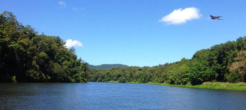 Kuranda Riverboat 45 Minute Cruise - Book Now | Experience Oz