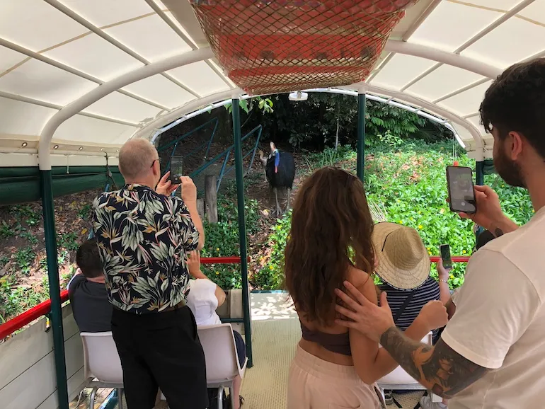 Kuranda Riverboat 45 Minute Cruise - Book Now | Experience Oz-11