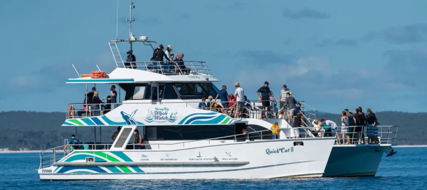 Hervey Bay Morning Whale Watching Cruises | Experience Oz