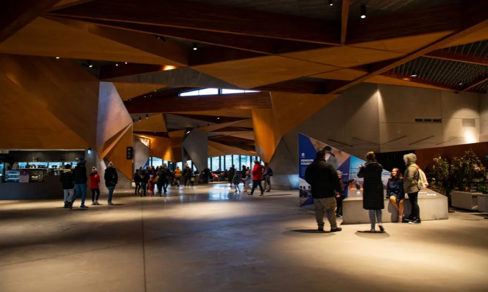 Penguin Parade and Moonlit Sanctuary Wildlife Day Tour | Experience Oz-3