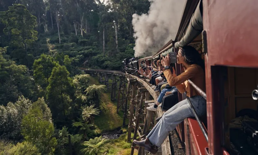 Melbourne Puffing Billy & Wildlife Tour - Book Now