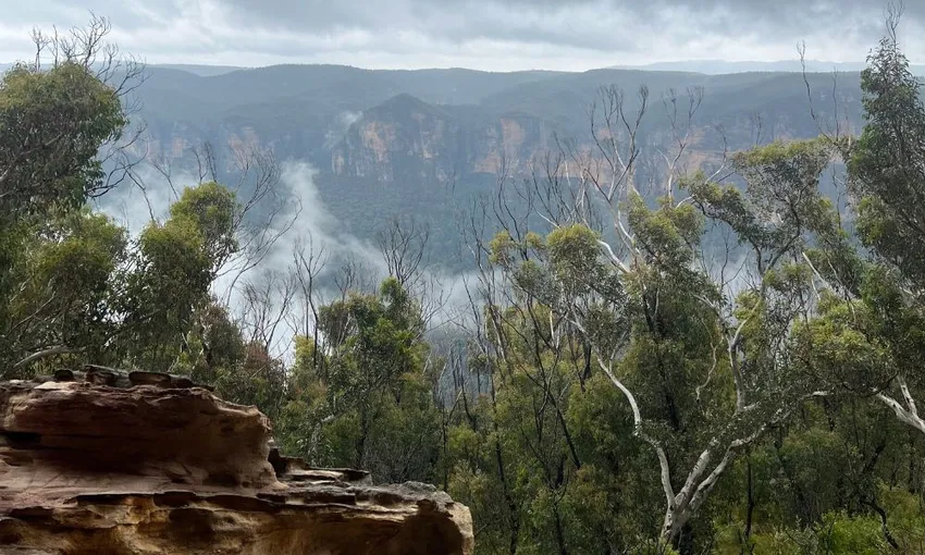 Blue Mountains Army Truck Adventure - Book Now | Experience Oz