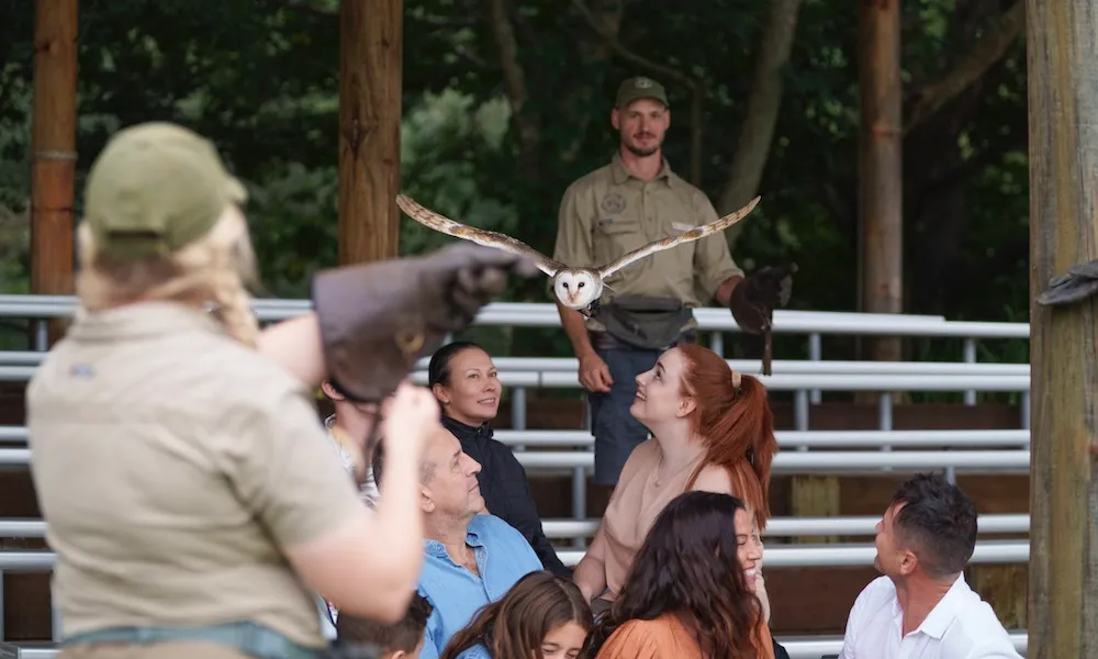 Lone Pine Koala Sanctuary General Admission Tickets | Experience Oz-5