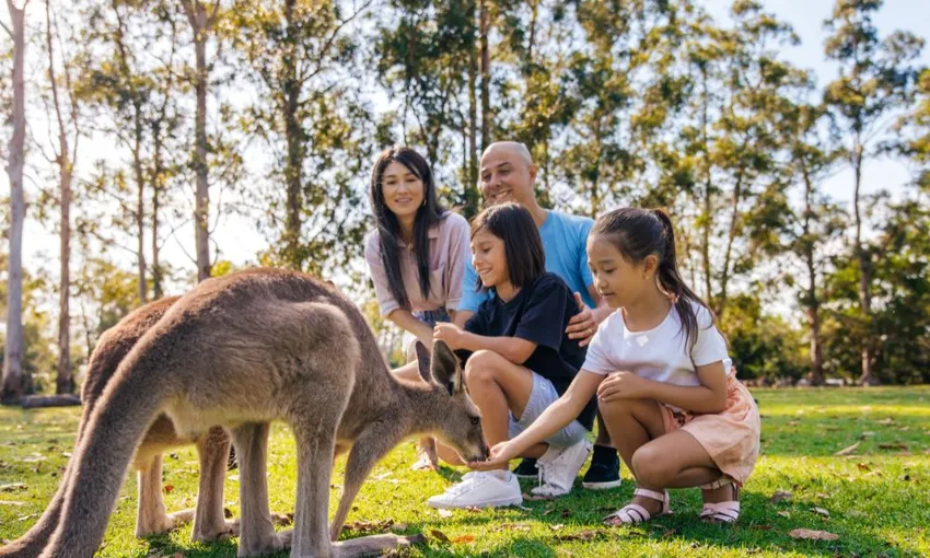 Lone Pine Koala Sanctuary General Admission Tickets | Experience Oz