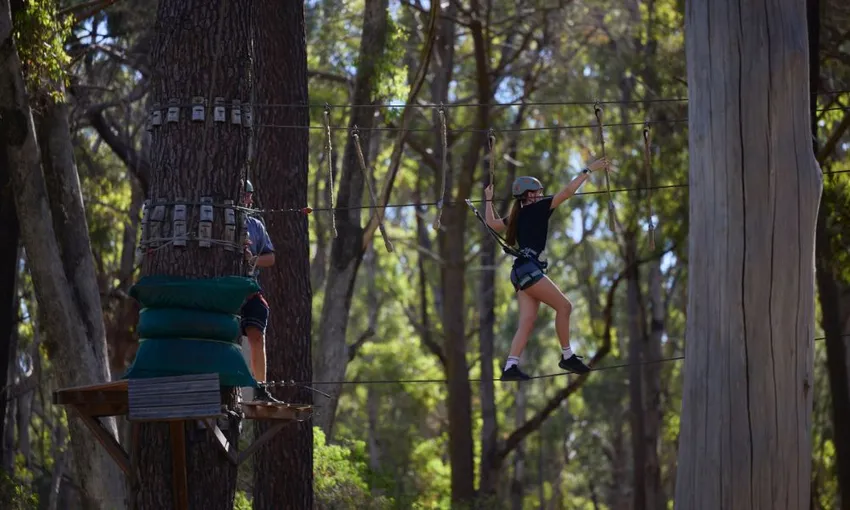 Forest Adventures High Ropes Course - Book Now | Experience Oz