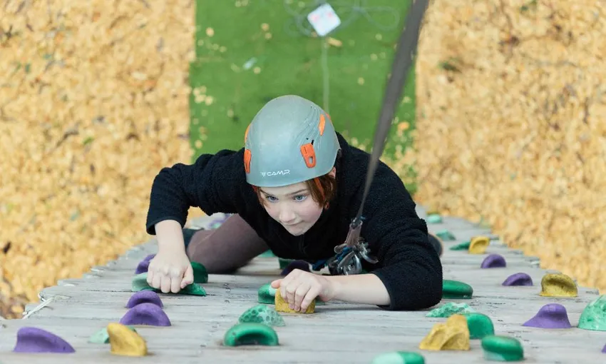 Forest Adventures High Ropes Course - Book Now | Experience Oz