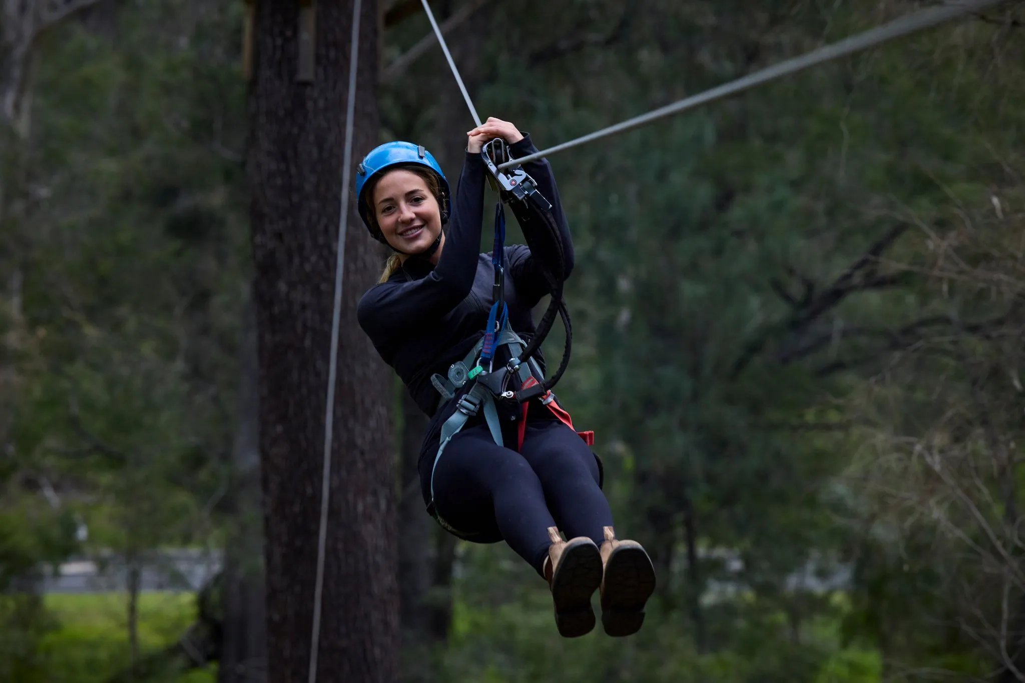 Forest Adventures High Ropes Course - Book Now | Experience Oz-1